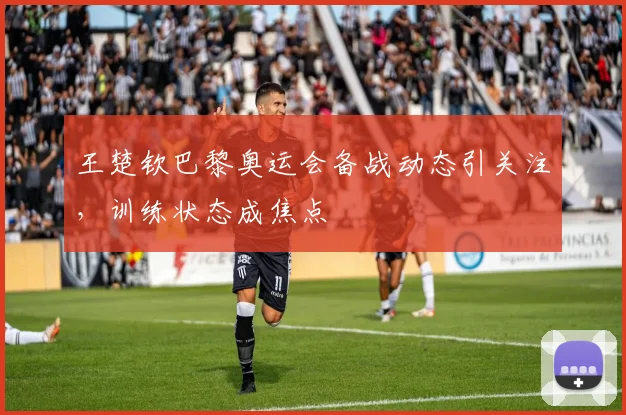 王楚钦巴黎奥运会备战动态引关注,训练状态成焦点