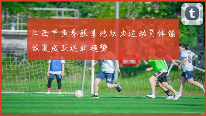 江西甲鱼养殖基地助力运动员体能恢复成亚运新趋势